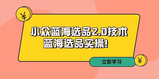 拼多多培训第33期：小众蓝海选品2.0技术-蓝海选品实操！-智库云网创