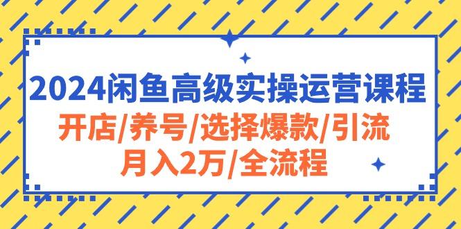2024闲鱼高级实操运营课程：开店/养号/选择爆款/引流/月入2万/全流程-智库云网创