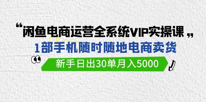 (9547期)闲鱼电商运营全系统VIP实战课，1部手机随时随地卖货，新手日出30单月入5000-智库云网创