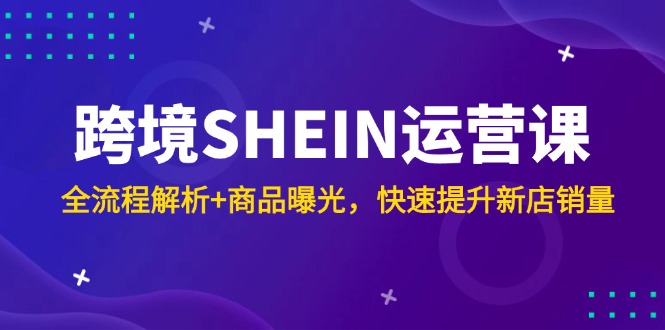 跨境SHEIN运营课，全流程解析+商品曝光，快速提升新店销量-智库云网创