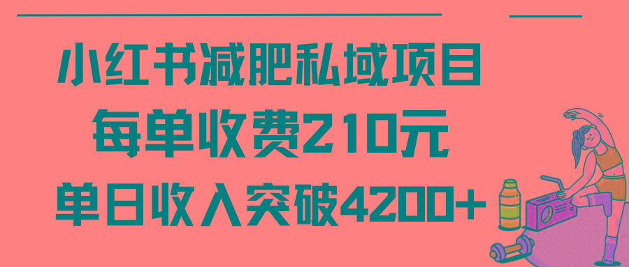 (9466期)小红书减肥私域项目每单收费210元单日成交20单，最高日入4200+-智库云网创