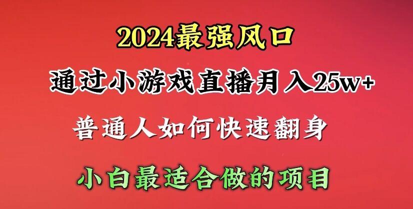 (10020期)2024年最强风口，通过小游戏直播月入25w+单日收益5000+小白最适合做的项目-智库云网创