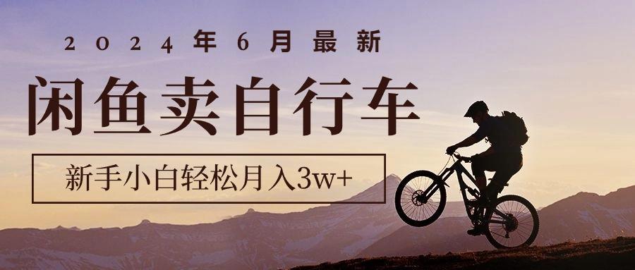 2024年6月最新闲鱼卖自行车，新手小白轻松月入3w+项目-智库云网创
