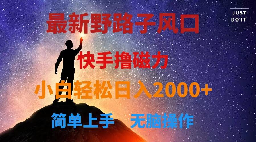最新风口！快手撸磁力，野路子，小白无脑操作日入2000+-智库云网创
