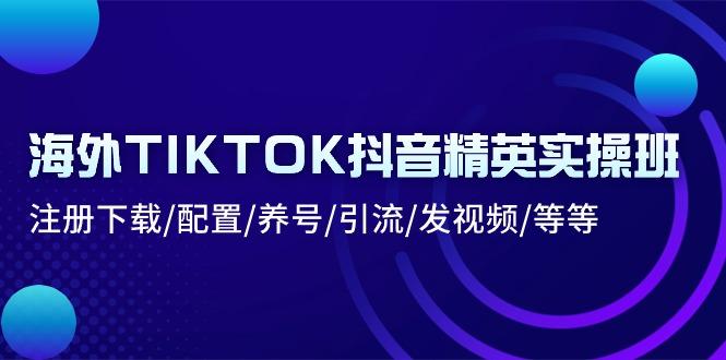 海外TIKTOK抖音精英实操班：注册下载/配置/养号/引流/发视频/等等-智库云网创