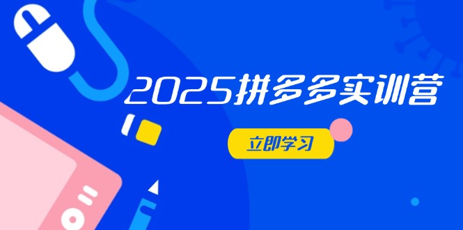 2025拼多多实训营：深度剖析运营关键，助力电商人快速提升-智库云网创