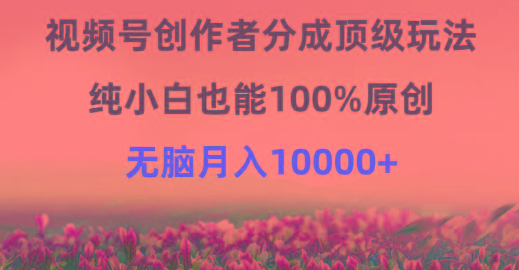 (9608期)视频号创作者分成顶级玩法，纯小白也能100%原创，无脑月入10000+-智库云网创