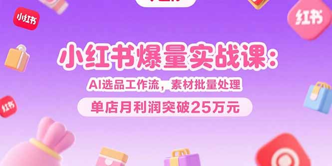 小红书爆量实战课：AI选品工作流，素材批量处理，单店月利润突破25万元-智库云网创