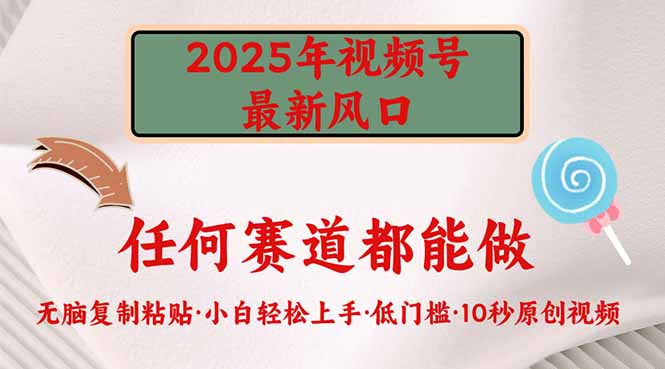 2025年视频号新风口，低门槛只需要无脑执行-智库云网创