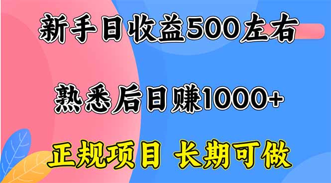 新手日收益500+ 正规项目 长期可做-智库云网创