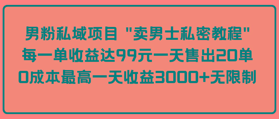 (9730期)男粉私域项目 “卖男士私密教程” 每一单收益达99元一天售出20单-智库云网创