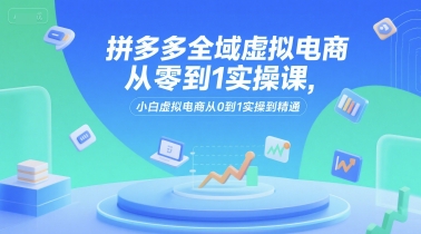 拼多多全域虚拟电商从零到1实操课，小白虚拟电商从0到1实操到精通-智库云网创