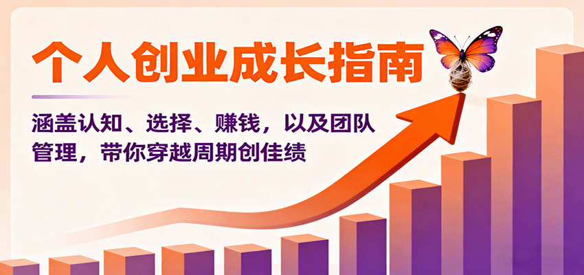 个人创业成长指南：涵盖认知、选择、赚钱，以及团队管理，带你穿越周期创佳绩-智库云网创