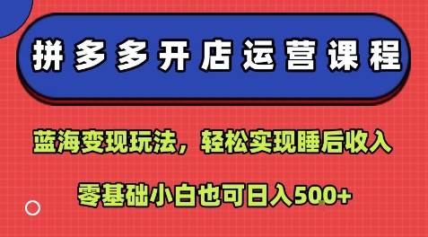 拼多多开店运营课程：蓝海变现玩法，轻松实现睡后收入，零基础小白也可日入5张-智库云网创