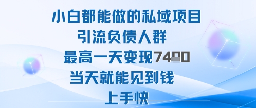 2025年小白都能做的私域项目引流负债人群最高一天变现1k+高变现难度低当天就能见到钱上手快-智库云网创