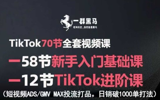 TikTok全套视频课，新手入门+进阶课，短视频ADS-GMV MAX投流打品，日销破1000单打法-智库云网创