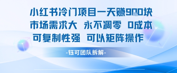 小红书冷门项目一天收益9张，市场需求大，0成本，可复制性强可以矩阵操作-智库云网创