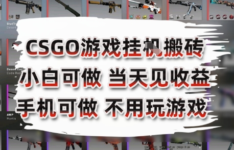CSGO游戏挂G搬砖，小白纯手机即可操作，不用电脑打游戏，日入3张+，副业网创项目【揭秘】-智库云网创