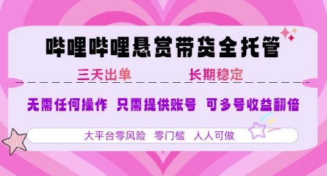 2025年B站风口带货项目 仅需提供账号 全程托管 轻松月入1w+-智库云网创