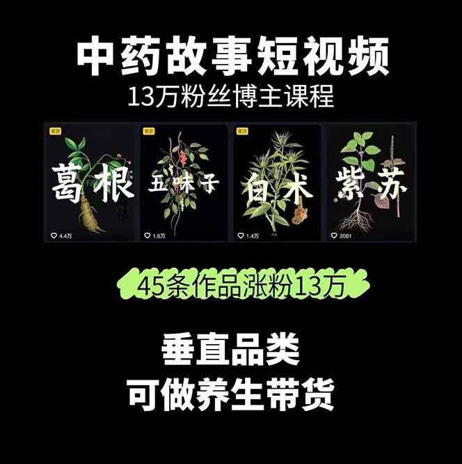 图片[2]-中药文化赛道：溯源故事开发，AI工具实战，平台运营，全方位解锁中医流量变现新路径-智库云网创