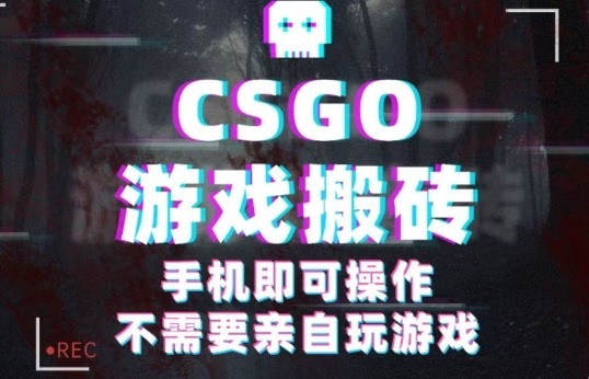 CSGO游戏挂G捡漏，单日扫货5张+，年底小高峰上车可吃肉，手机即可操作，兼职副业创业网创【揭秘】-智库云网创