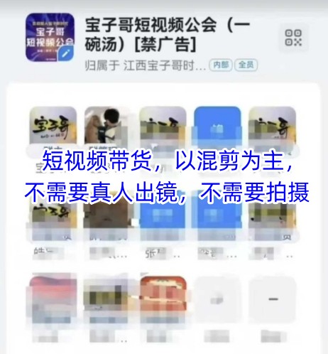 宝子哥头部团队短视频带货，以混剪为主，不需要真人出镜，不需要拍摄【更新8月】-智库云网创
