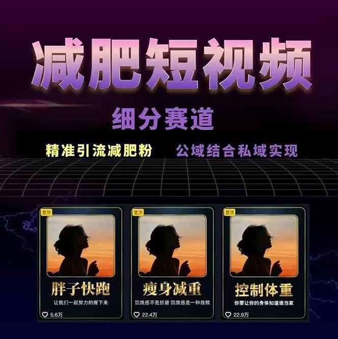 图片[2]-减肥短视频运营实战课：含素材制作、剪映教学，讲精准引流、变现设计与内容模板技巧-智库云网创