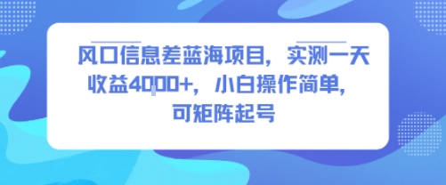 风口信息差蓝海项目，实测一天收益4k+，小白操作简单，可矩阵起号-智库云网创