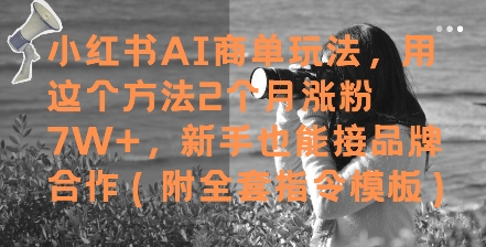 小红书AI商单玩法，用这个方法2个月涨粉7W+，新手也能接品牌合作(附全套指令模板)-智库云网创