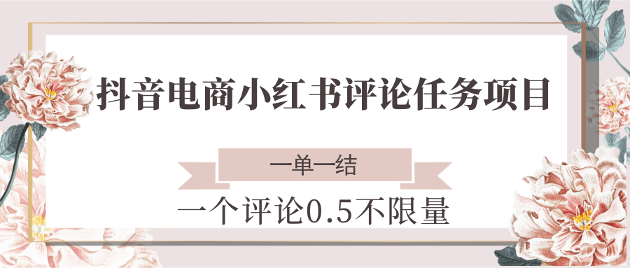 抖音电商小红书评论任务项目，一个评论0.5，一单一结 不限量-智库云网创