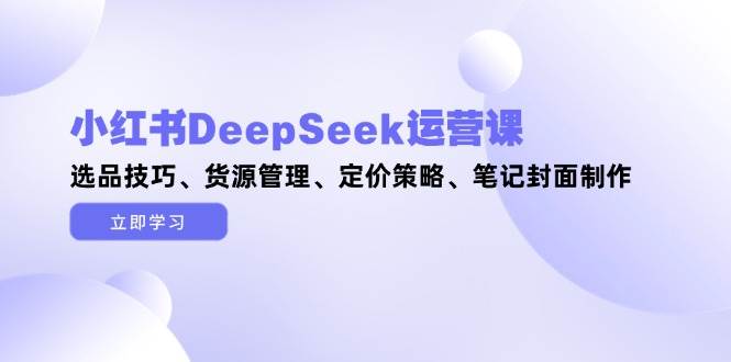 小红书DeepSeek运营课，选品技巧、货源管理、定价策略、笔记封面制作-智库云网创