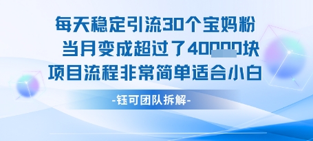 每天稳定引流30个人 当月变成超过了4个W项目流程非常简单适合小白-智库云网创