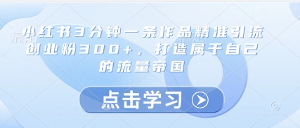 小红书3分钟一条作品精准引流创业粉300+，打造属于自己的流量帝国-智库云网创