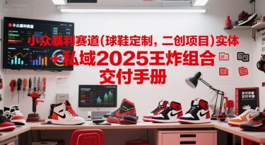 小众暴利赛道(球鞋定制，二创项目)实体+私域2025王炸组合  交付手册-智库云网创