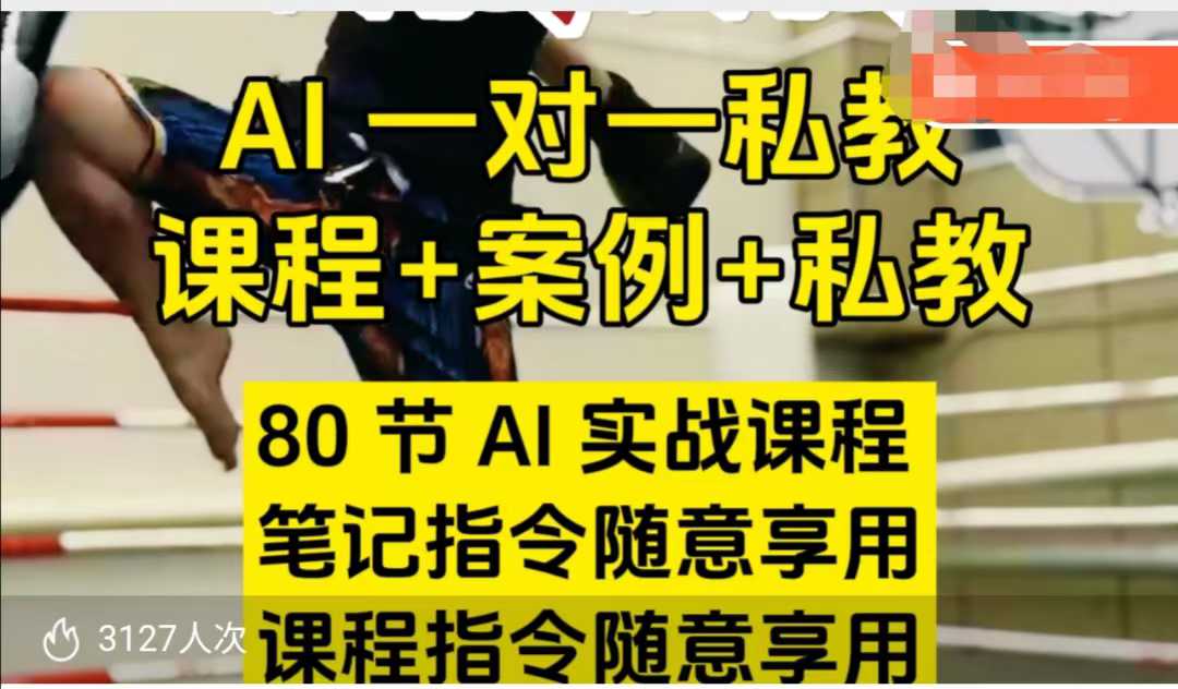 AI指令实战课，课程+案例，80节AI实战课程，笔记指令随意享用，课程指令随意享用(更新7月)-智库云网创