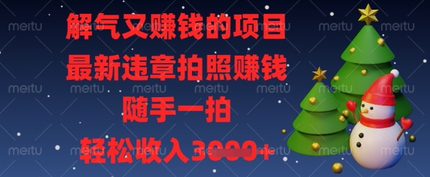 解气又挣钱的项目，最新违章拍照挣钱，随手一拍，轻松收入数张【揭秘】-智库云网创