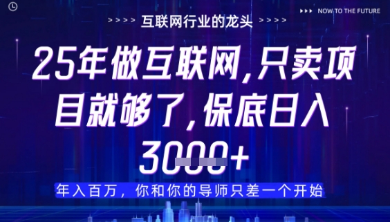 什么！25年你还在找项目做？风口早就变了，卖项目才是稳挣不赔【揭秘】-智库云网创