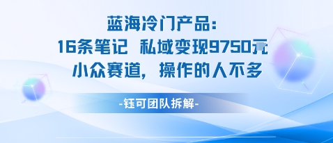 蓝海项目：16条笔记私域变现9750米小众赛道操作的人不多-智库云网创
