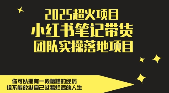 2025超火项目，副业最佳选择，小红书笔记带货团队实操落地项目，，轻松日入5张-智库云网创