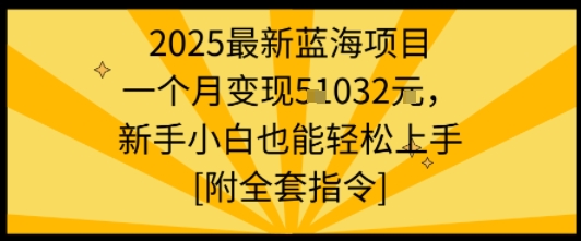 2025最新蓝海项目一个月变现1w+新手小白也能轻松上手【附全套指令】-智库云网创