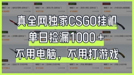 真全网独家CSGO挂G，单日捡漏1k+【揭秘】-智库云网创