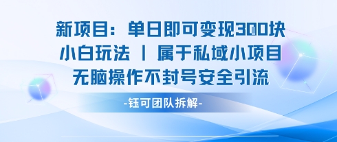 新项目单日即可变现3张的小白玩法无脑操作不封号安全引流-智库云网创