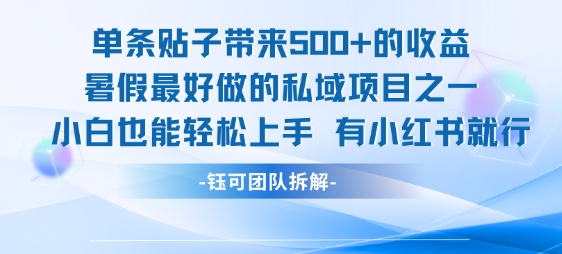 单条贴子带来5张的收益，暑假最好做的私域项目之一，小白也能轻松上手，有小红书就行-智库云网创