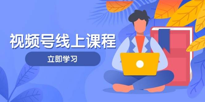 视频号实战课程，轻IP打造与运营技巧，掌握核心方法与策略-智库云网创