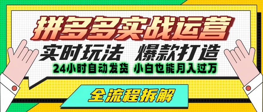 拼多多最新实战运营高投产：长久稳定项目，单店利润一天三位数-智库云网创