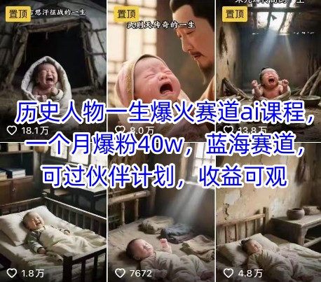 历史人物一生爆火赛道ai课程，一个月爆粉40w，蓝海赛道，可过伙伴计划，收益可观-智库云网创