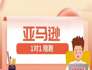 亚马逊1对1陪跑课(FBA/FBM精铺)跨境亚马逊教程-智库云网创