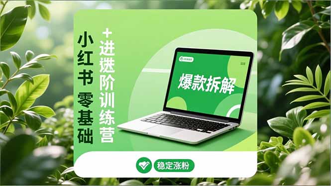 小红书零基础+高阶训练营：安全养号、爆款拆解、长效运营，实现稳定涨粉与变现-智库云网创