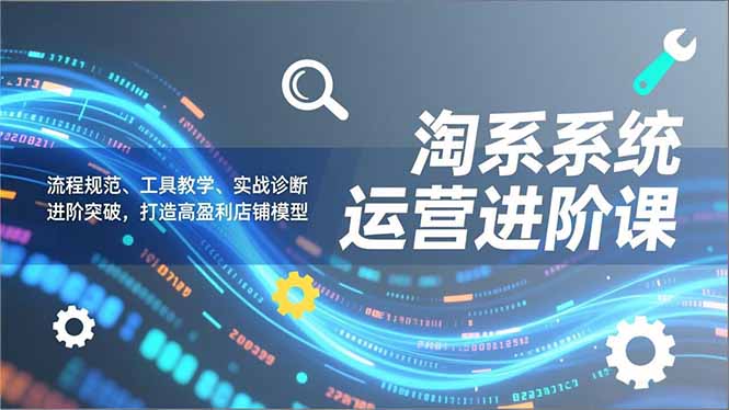 淘系系统运营进阶课2.0，流程规范、工具教学、实战诊断，进阶突破，打造高盈利店铺模型-智库云网创