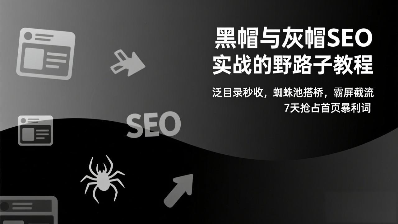 黑帽与灰帽SEO实战的野路子教程：泛目录秒收，蜘蛛池搭桥，霸屏截流，7天抢占首页暴利词-智库云网创